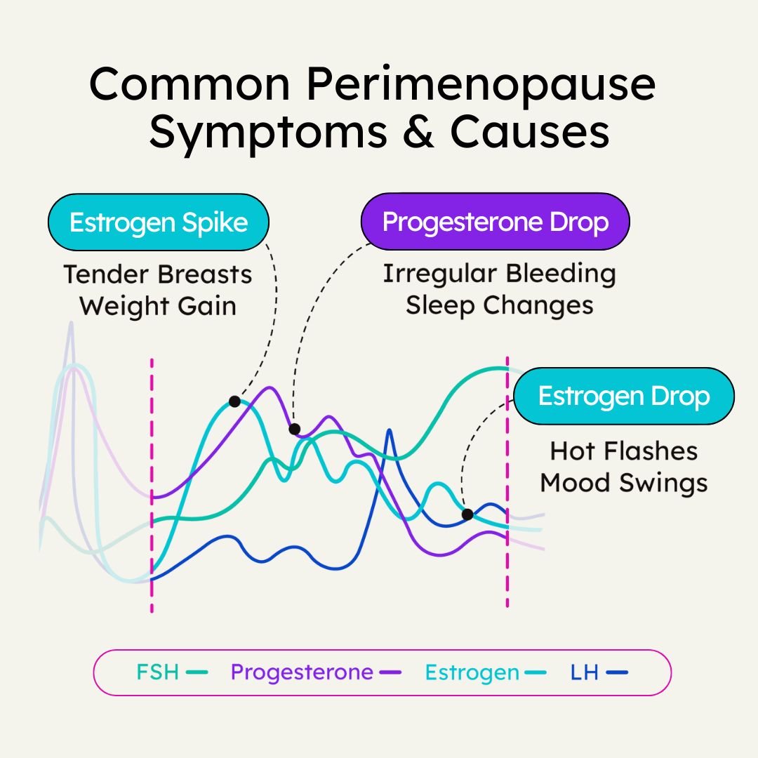 Common perimenopause symptoms and causes — hormone fluctuation chart showing estrogen spike, progesterone drop, and estrogen drop